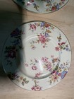 2 Sunnybrooke By Castleton Dinner Plates — photo 4