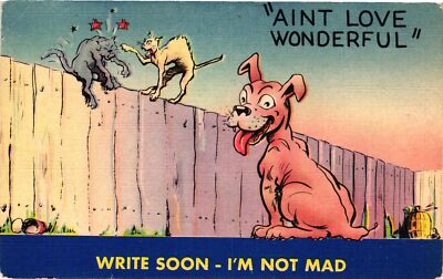 Vintage Postcard- 