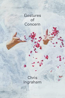 Gesten der Sorge - Ein kulturpolitisches Buch - Hardcover NEU Ingraham, Chris 28