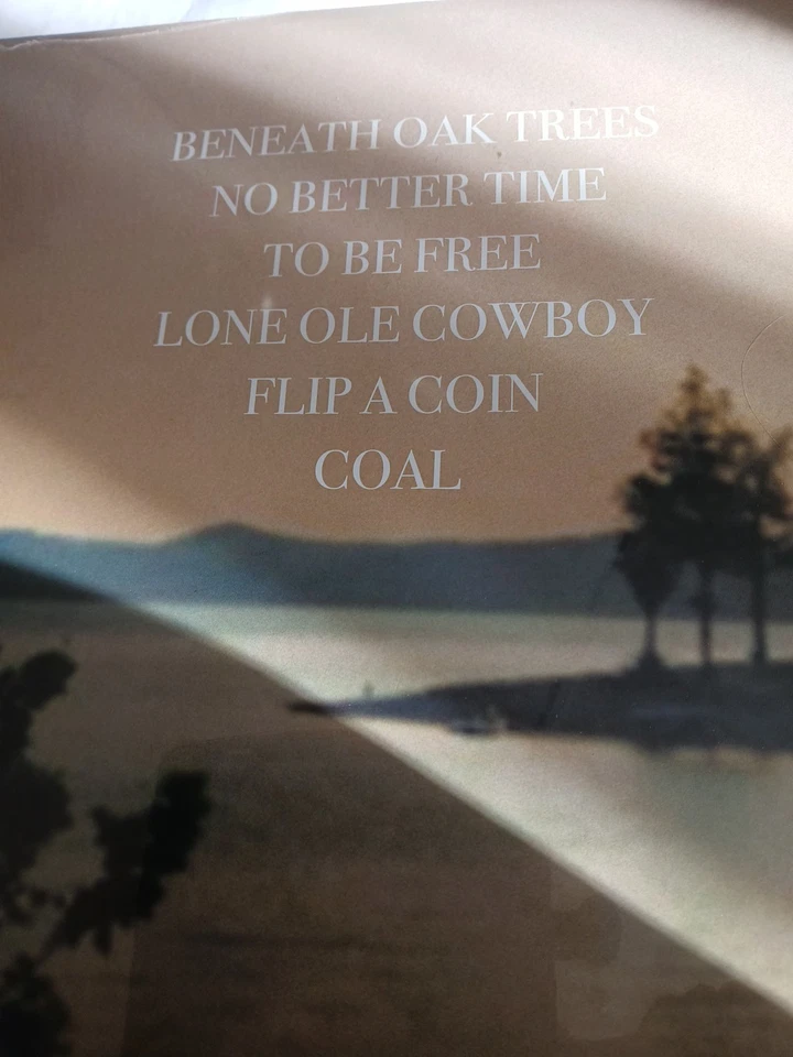 DYLAN GOSSETT NO BETTER TIME 12'' VINYL RECORD EP NEW SEALED 45 RPM 5 TRKS COAL - Image 3 of 3