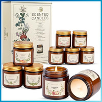 10 StüCk Duftkerzen Set Sojawachs Aromatherapie Geschenk FüR Frauen 100G