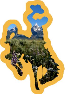 Wyoming Buck'n Bronco Cowboy Logo - Die Cut Laminated Vinyl Sticker/Decal