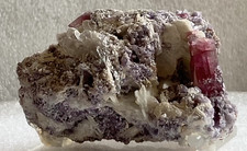 Turmalin Var. Rubellit Stufe von der Jonas Mine, Minas Gerais, Brasilien