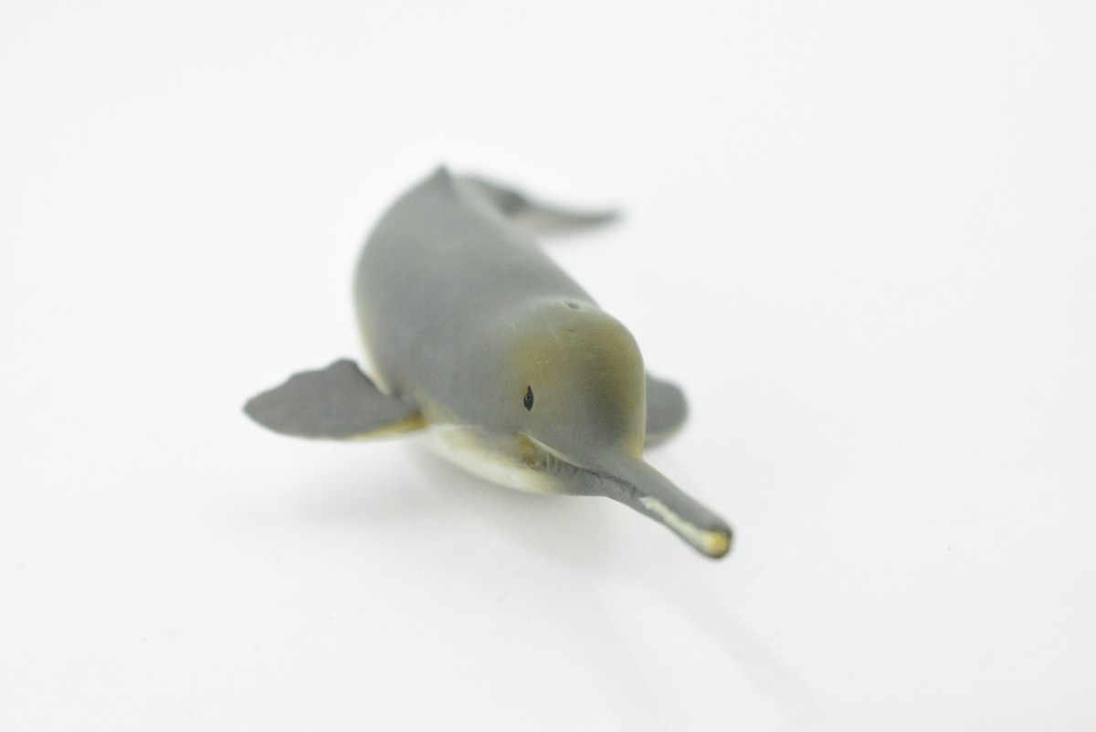 Ganges River Dolphin, Realistic Toy Figure, Model, Replica