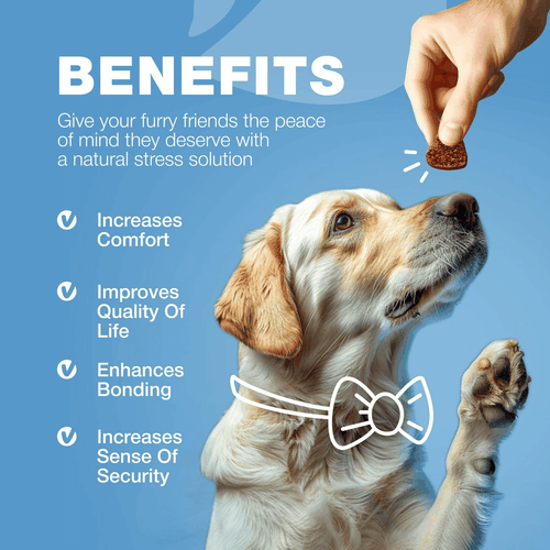 Hemp Calming Chews for Dogs Anxiety Relief Treats with L Theanine Chamomile - Picture 9 of 9