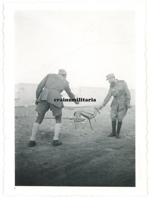 Genuine Photo Foreign Tropical Soldiers with Gazelle in SIRTE Africa 1942