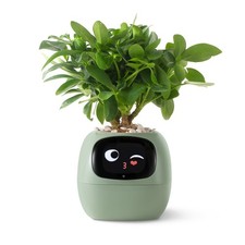 Smart pet Planter Robot Guidance on Plant Care with Emojis, Adorable Plant Co...
