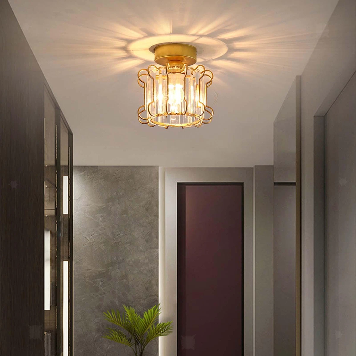 Small hall hot sale ceiling lights
