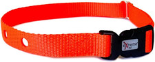 Dog Collar Strap - Bright Orange - Compatible with Nearly All Brands and Models