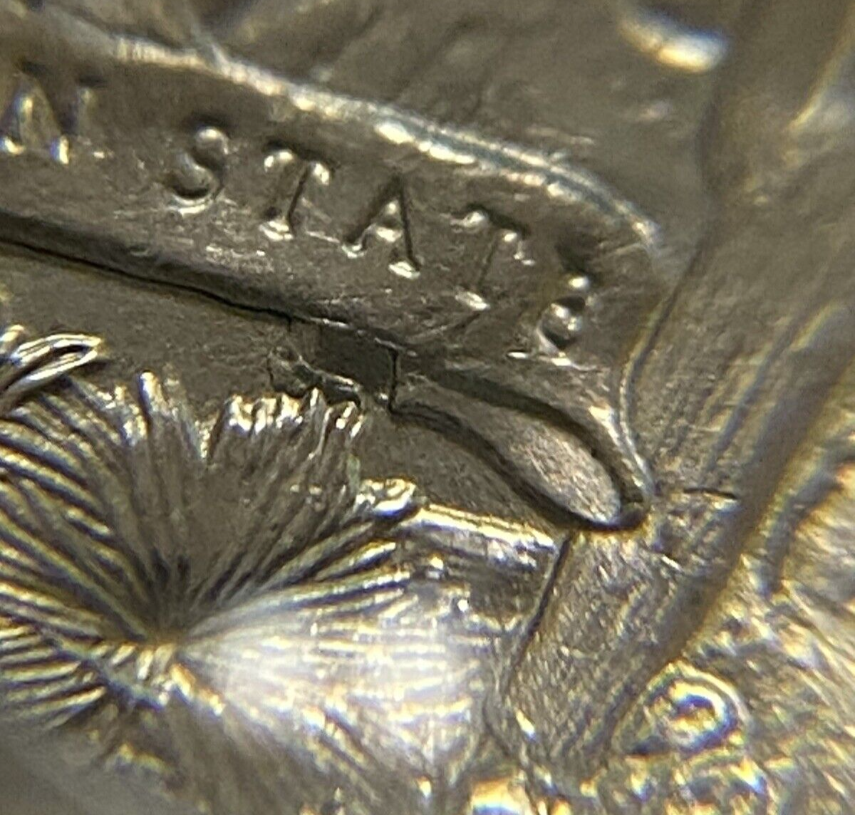Picture 11 of 19
