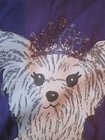 Bild 4 von 4