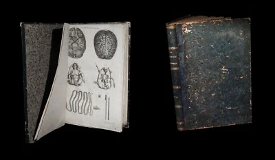 [BOTANIQUE PHYTOTHERAPIE ANATOMIE OBSTETRIQUE] BAYLE Atlas Médecine pittoresque. - Photo 1/4
