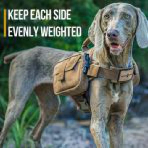 ONETIGRIS - Hoppy Camper Dog | Pack 2.0 - Picture 4 of 7