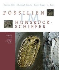 Fossilien im Hunsrück Schiefer | deutsch