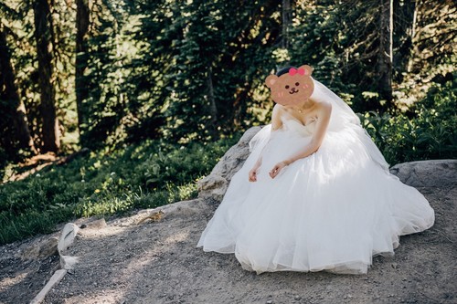 Gorgeous Wedding Dress Gown with free veil, Worn Once for Pre-Wedding Photoshoot - Picture 5 of 7