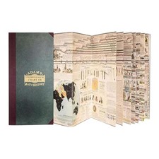 Vintage Adams Synchronological Chart or Map o...