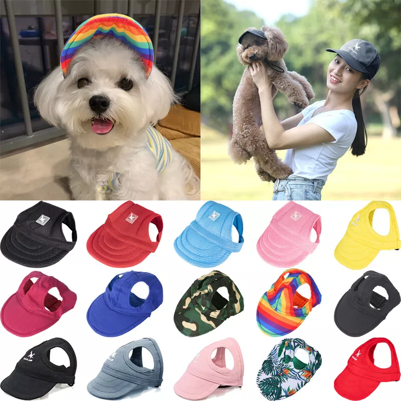 Visor dog store