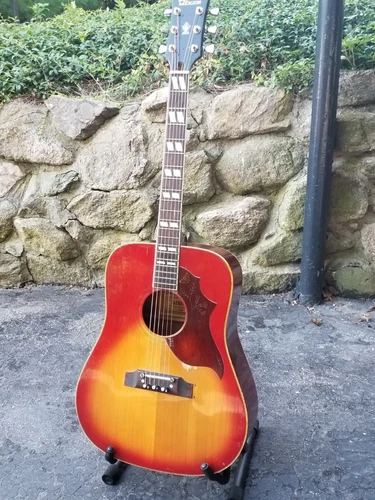 DIXON Acoustic 6 String