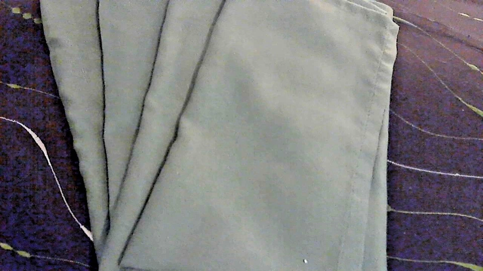 Pier 1 Placemats 9"x 13" Set 4 NEW Pesto Napkins To Match 20" Square Napkins  - Image 3 of 4