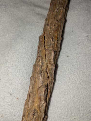 ANTIQUE VINTAGE RUSTIC KNOBBY THORNY SHILLE CANE WALKING STICK #4 - Picture 8 of 11