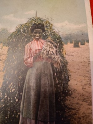 Beautiful Black Girl Polly With The Peanuts  Color Postcard Posted 1922