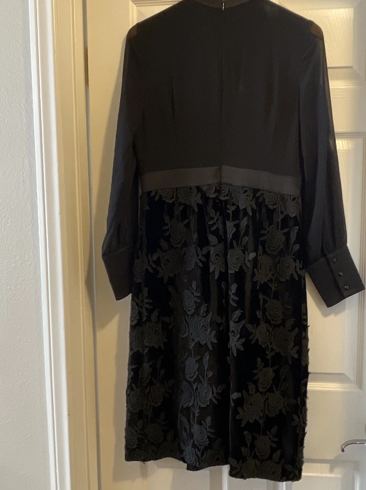 Ana Sui x Mod 布连衣裙长袖雪纺贴花天鹅绒裙 10 码 — 第 4/4 张图片