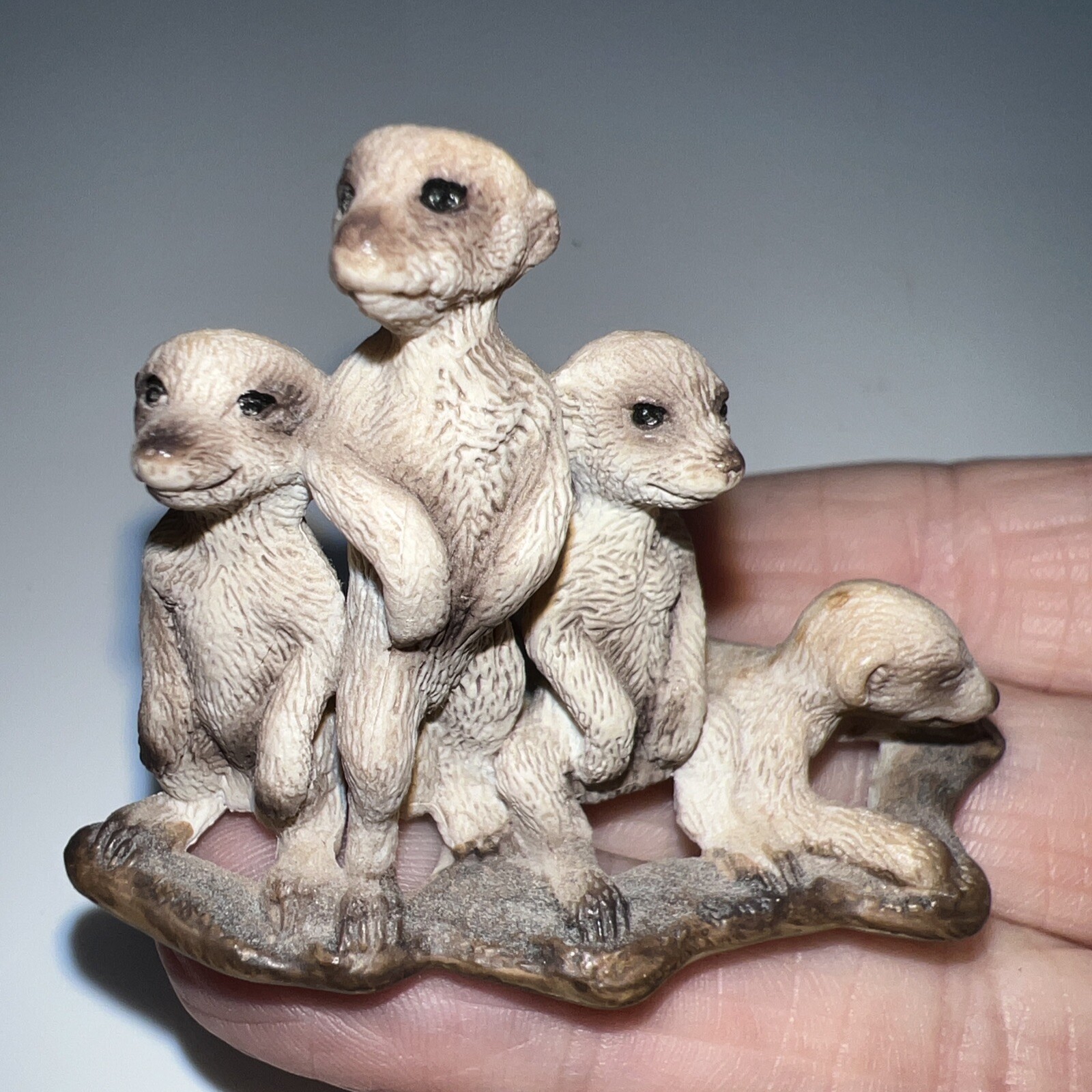 Retired  Schleich Wild Animal Figurine Meerkat Pup Babies Gmund D73527 Am Limes