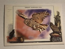2023 Topps Allen & Ginter Talonted Great Horned Owl TT-7