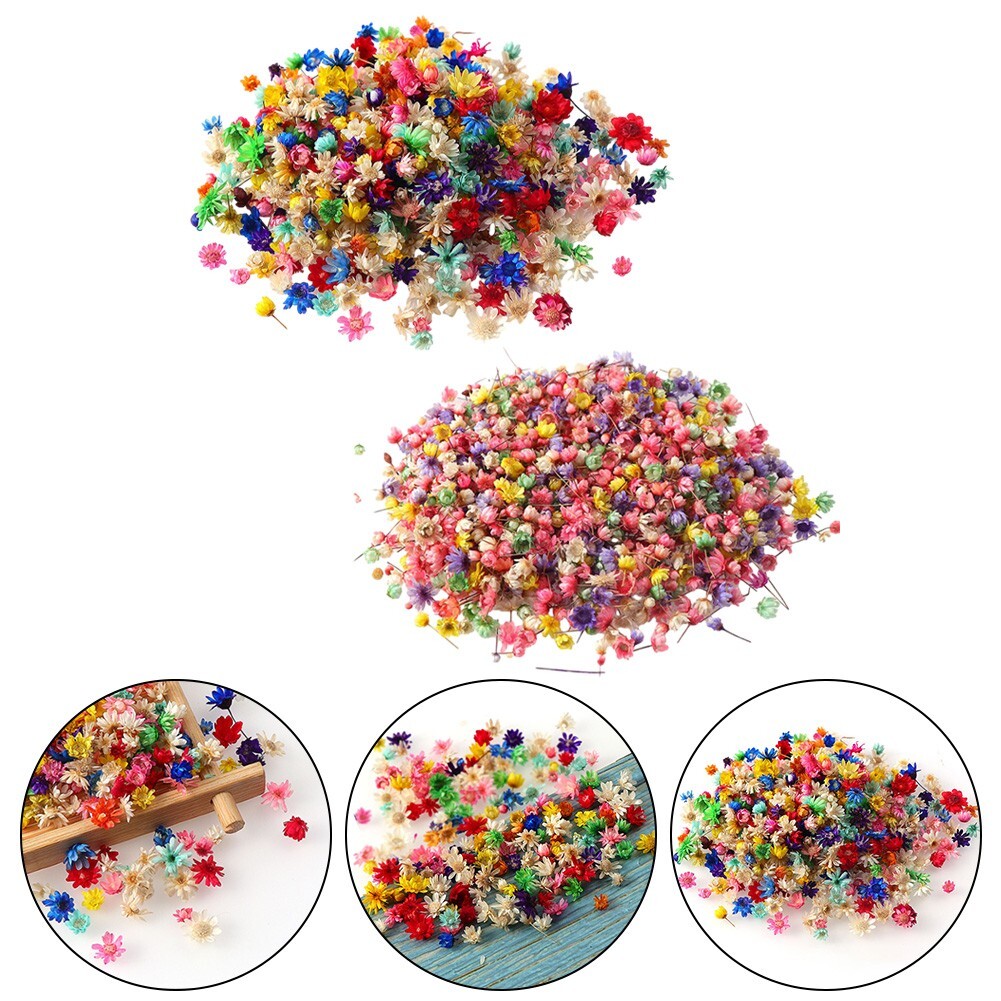 Mini Dried Flowers Mini Flowers Head 1 Pack/100 PCS For Nail Art Decoration-image