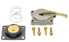 Holley 50cc Accelerator Pump Cover Diaphragm Spring Screws Kit Quick Kit