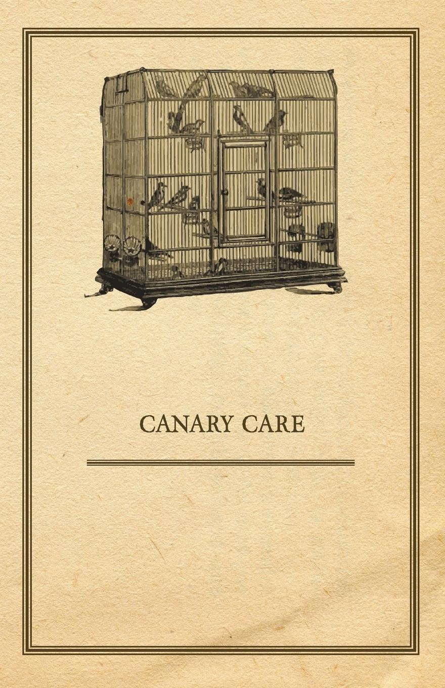 Thumbnail - Canary Care | Anon | Taschenbuch | Paperback | Englisch | 2011 | Ind