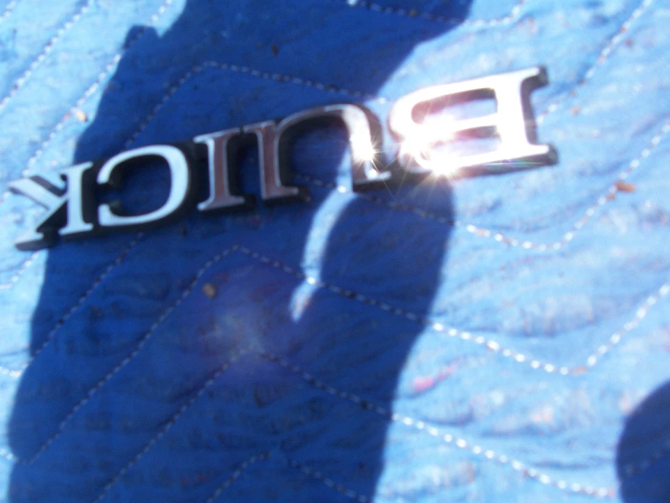 1994 1995 1996 ROADMASTER НЕДВИЖИМОСТИ УНИВЕРСАЛ BUICK ЗАДНИЕ ВОРОТА ОТДЕЛКА ЭМБЛЕМА OEM Б/У - Изображение 3 из 4