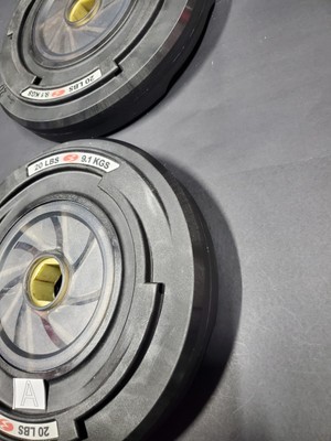 Lot De 2 Plaques De Poids Bowflex Revolution 20 Lb Chacune 40 Lb Total Occasion 803311
