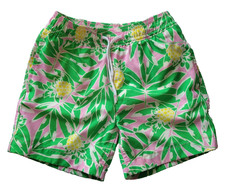 J.Crew Crewcuts Boys Tropical Pineapple Swim Trunks Green Pink Mesh Lined