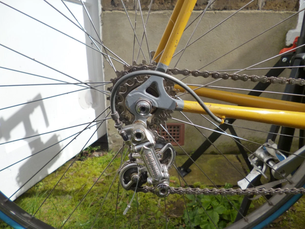 British Eagle Raleigh Reynolds 853 Road Bike Bicycle Wonderful