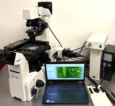 Nikon TE2000S  Light Engine Fluorescence Microscope + Lumencor ,Prior Stage