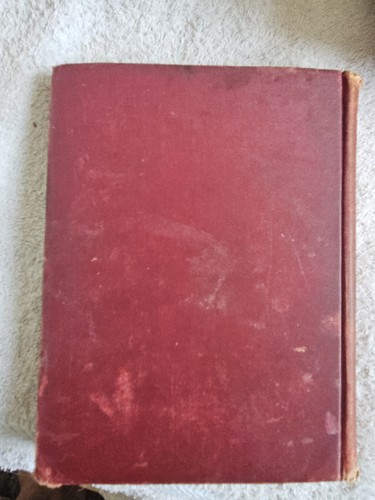 Antique Bird World Stickney & Hoffmann 1898HC Ginn & Co. ForChildren Illustrated - Picture 3 of 16