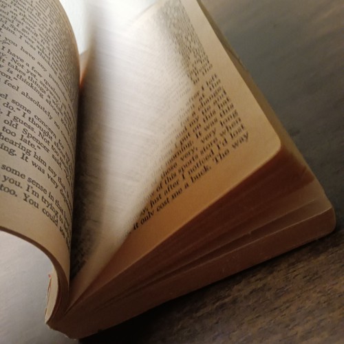Catcher in the Rye by J. D. Salinger (1991, Mass Market) - 第 5/6 張圖片