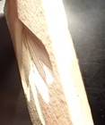 Bild 2 von 2