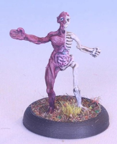 Undead Dissected Anatomy Cadaver Zombie Miniature: 28mm Metal Miniature - 第 1/14 張圖片