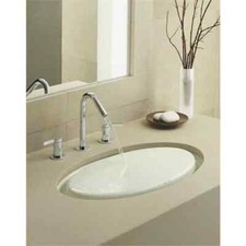 Kohler Paradox Undermount Sink K-2817-FD K-2819-P5-FD Cast Iron