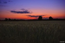 Landscape nature sky field low light Custom Gaming Mat Desk