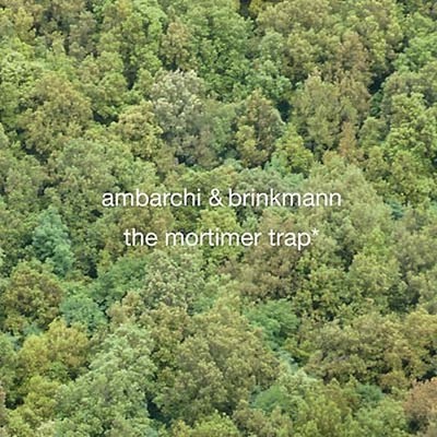 THOMAS BRINKMANN & OREN AMBARCHI The Mortimer Trap Music CDs New
