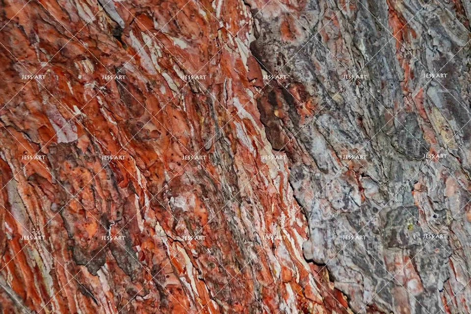 Murales de pared con textura de corteza de madera 3D papel tapiz murales pegatina de pared Foto 4 de 4