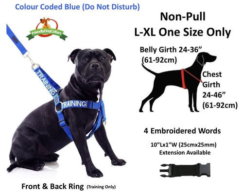 Strong As Leather Staffy Staff Staffie Dogs Harness Lead Leash Collar Or Sets - Picture 69 of 81