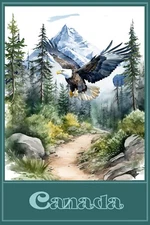 Canada American Bald Eagle Mountains Trees Wall Art 16 x 24 Travel Poster