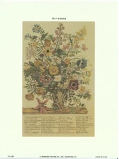 (6 x 8) Art Print FL122 Bernard Picture Co. Flowers of the Month - November