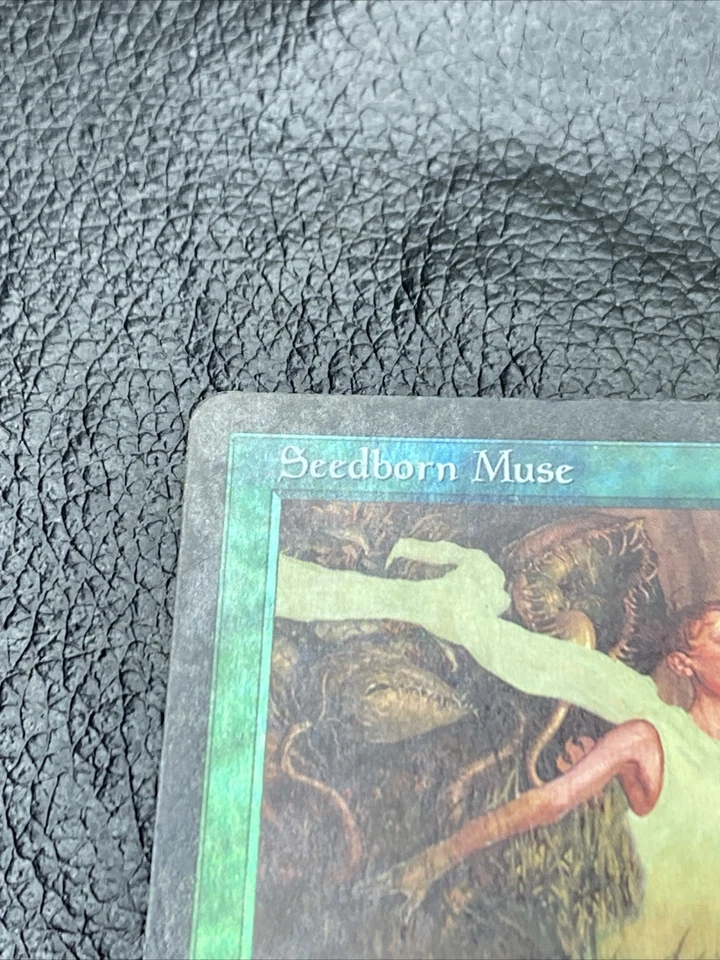 B6 Seedborn Muse Foil Legions MTG Card - Image 2 of 4