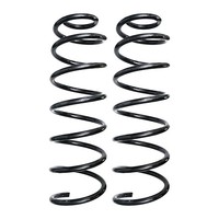 Fahrwerksfedern-Set Hinterachse Schraubenfeder Ø127Mm Spidan FüR U.A. CitroËN
