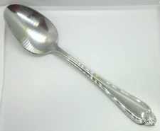 Pfaltzgraff  BISCAYNE  *1 Serving Spoon/Tablespoon*  8 1/4"  Stainless Flatware